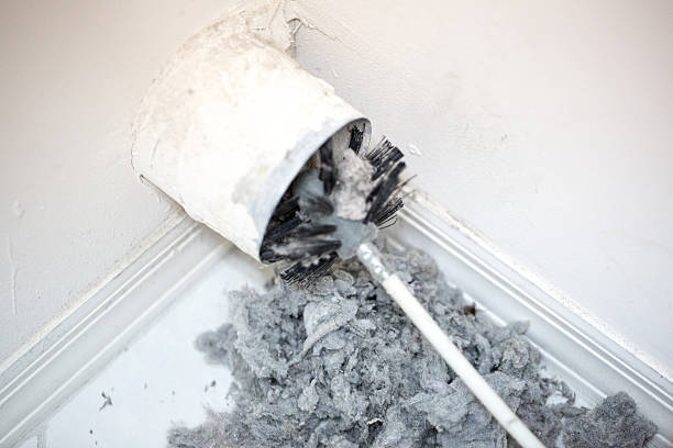 Air Duct Mold Removal in Temple, GA